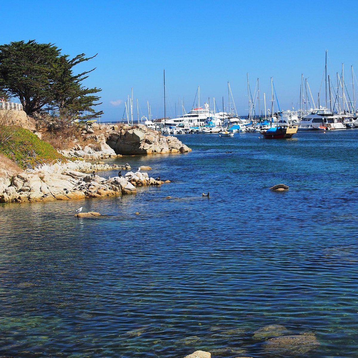 Monterey Bay Coastal Trail