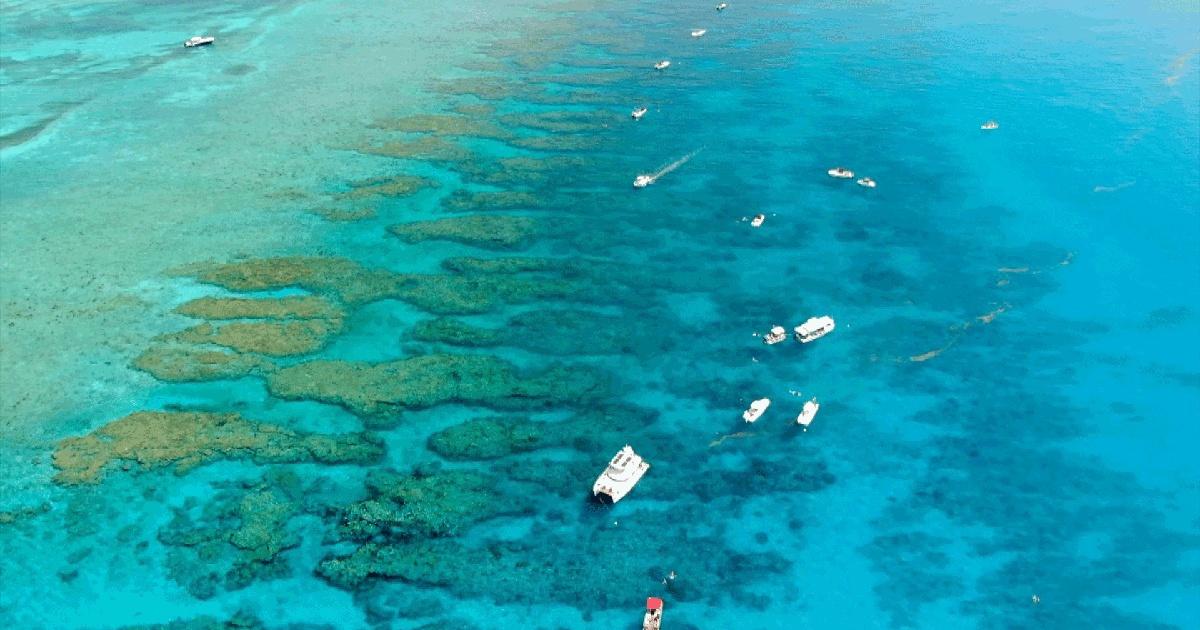 Puerto Rico: The Natural Paradise
