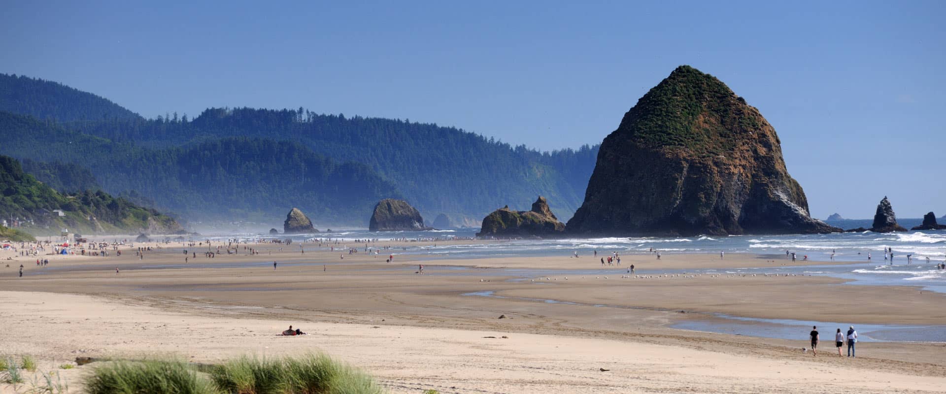 Beachcomber Vacation Rentals