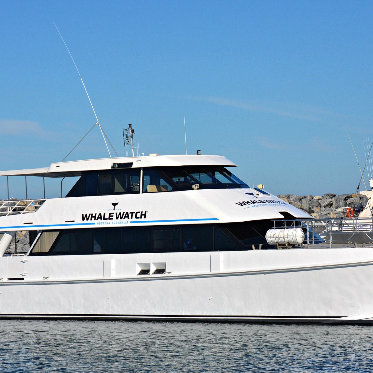 Whale Watching in Margaret River