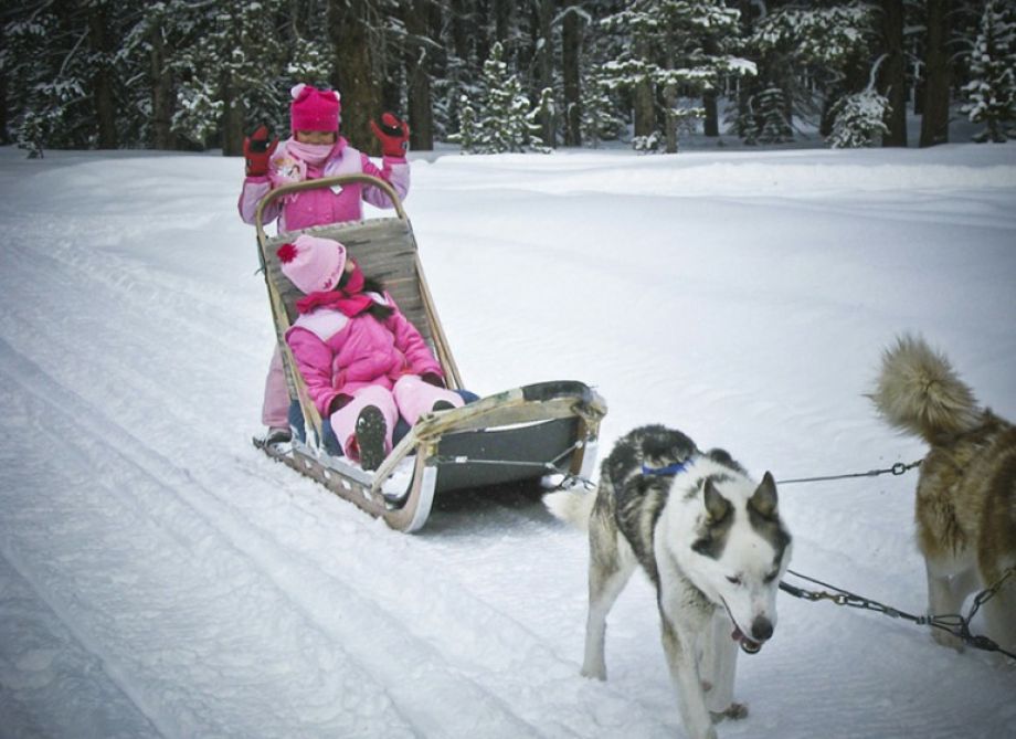 9. Doggie Adventures Retreat