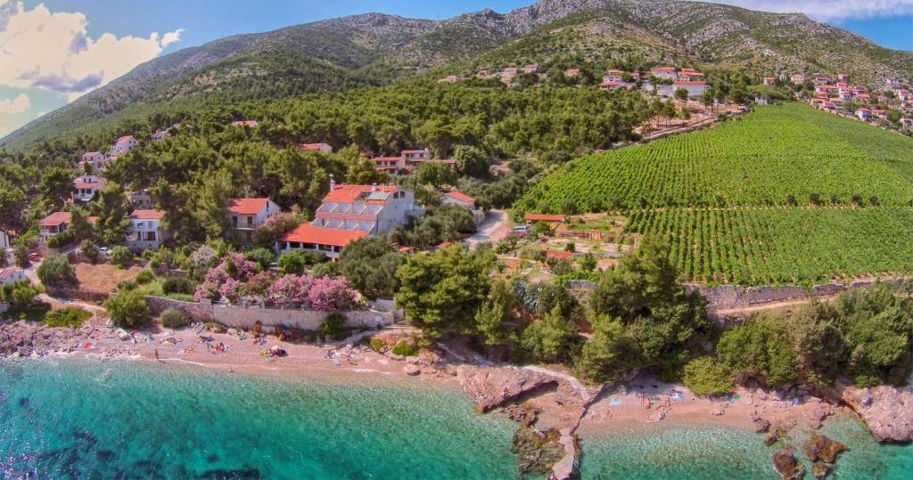 Guesthouse Beachfront Zavala