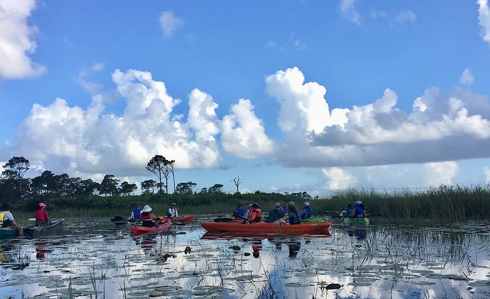 Day 6: Outdoor Adventures at the Savannas Preserve State Park