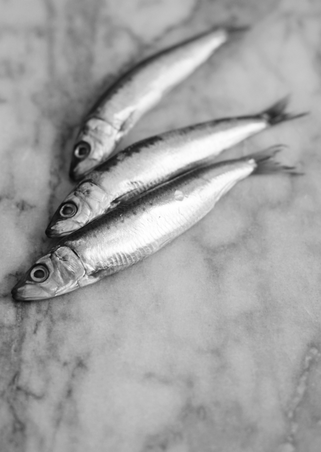 Sarde a Beccafico con pasta