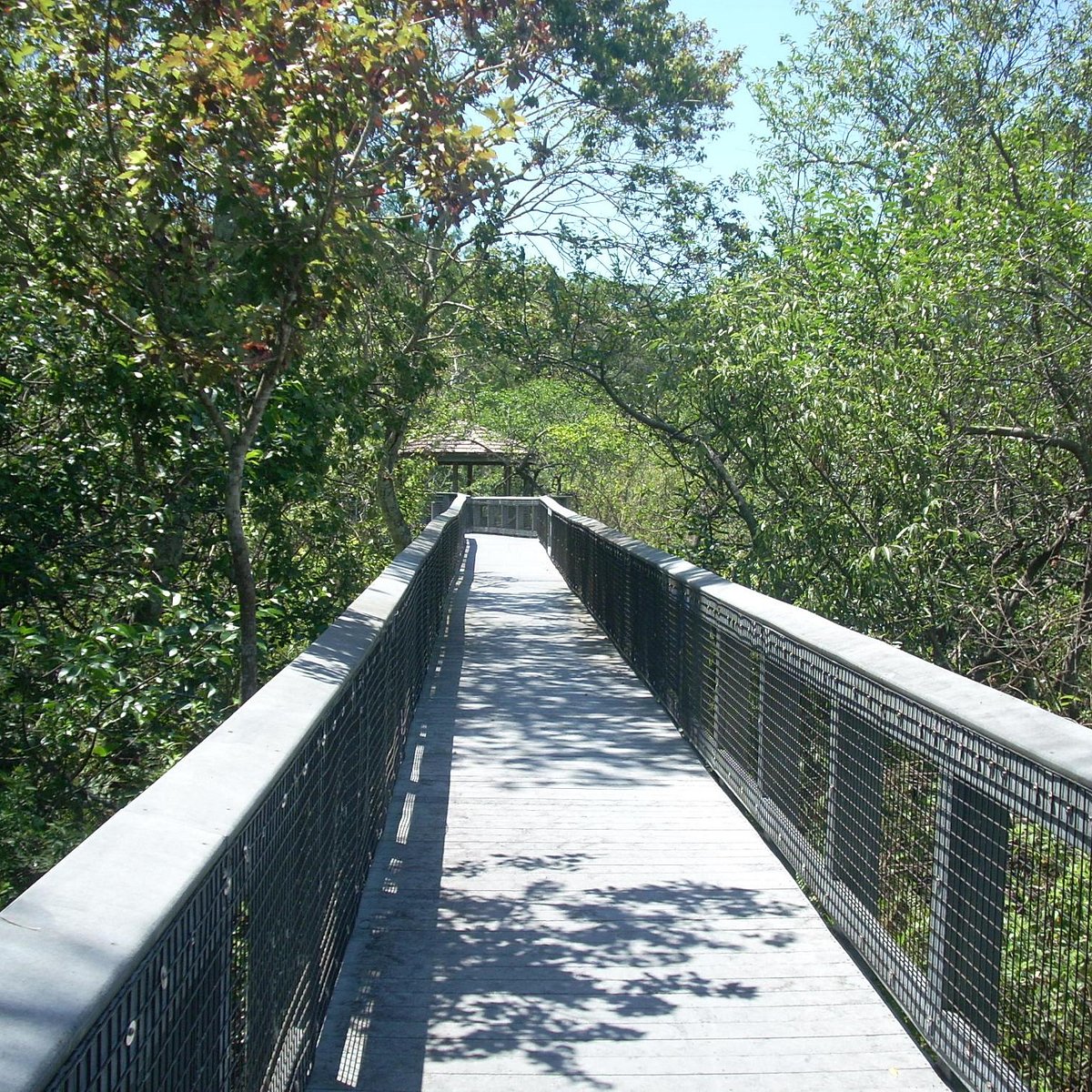 Enjoy Outdoor Recreation at Tall Cypress Natural Area