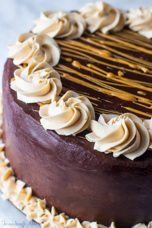 Peanut Butter Chocolate Cake Cheesecake