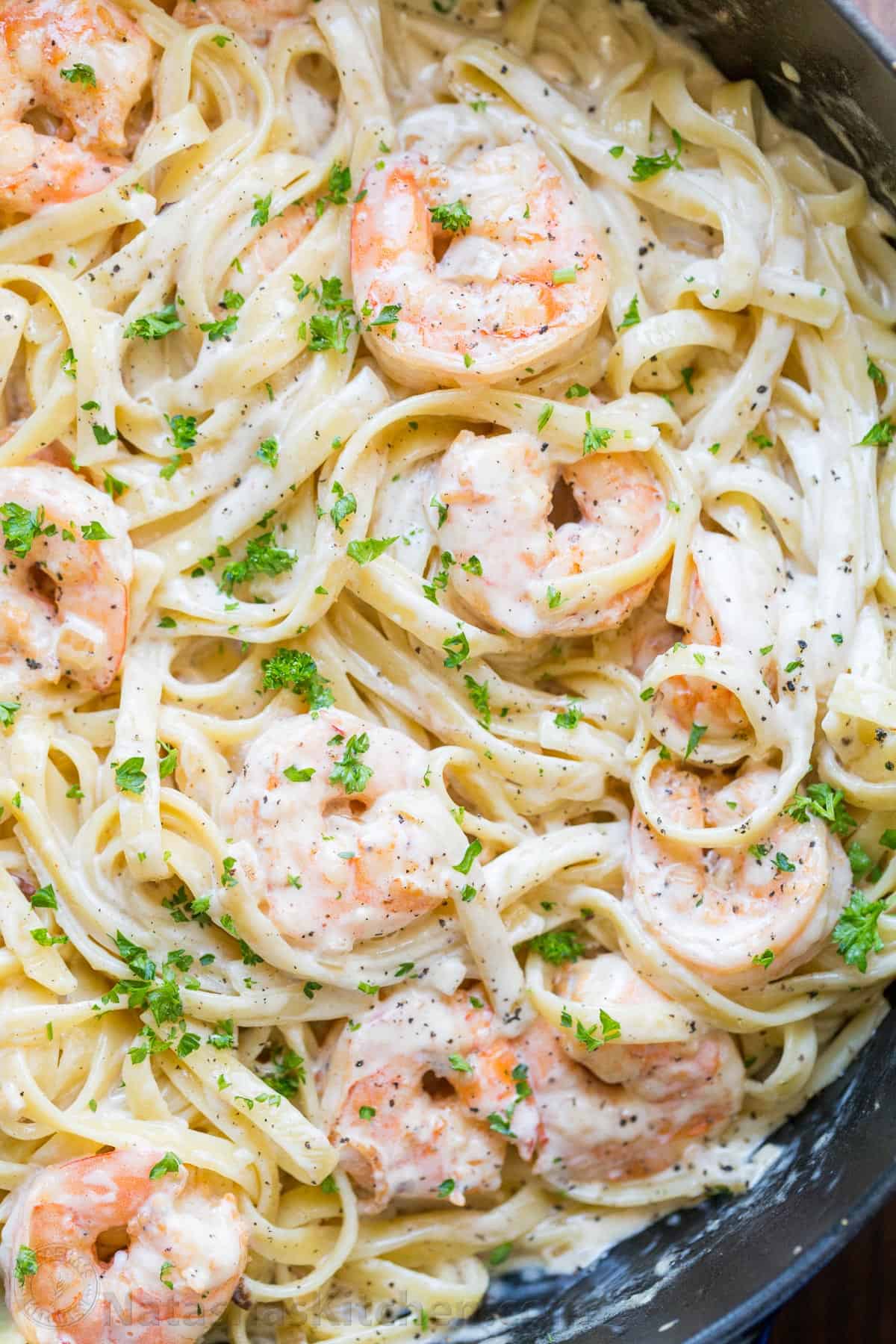 Creamy Shrimp Pasta