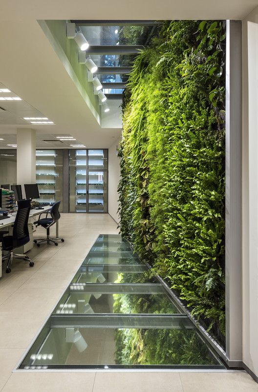 imagen principal de la lista