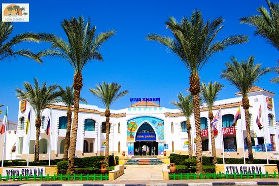 Hotel Falcon Inn Viva