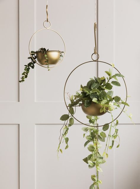 7. Hanging Plant Display