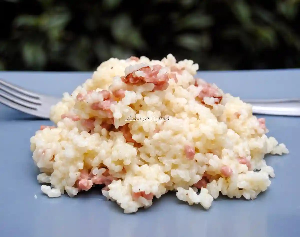 Arroz Pilota con Setas