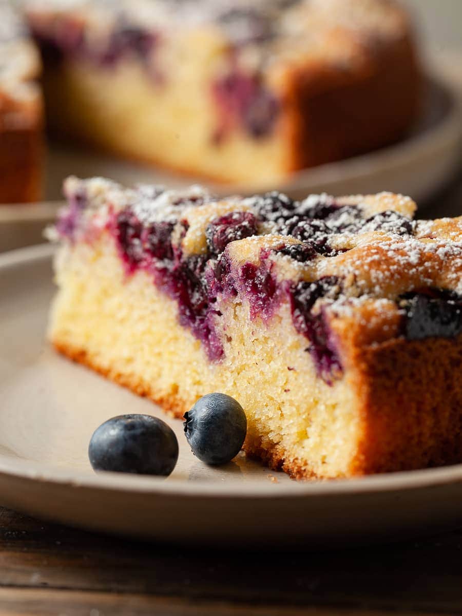Gluten-Free Blueberry Cake
