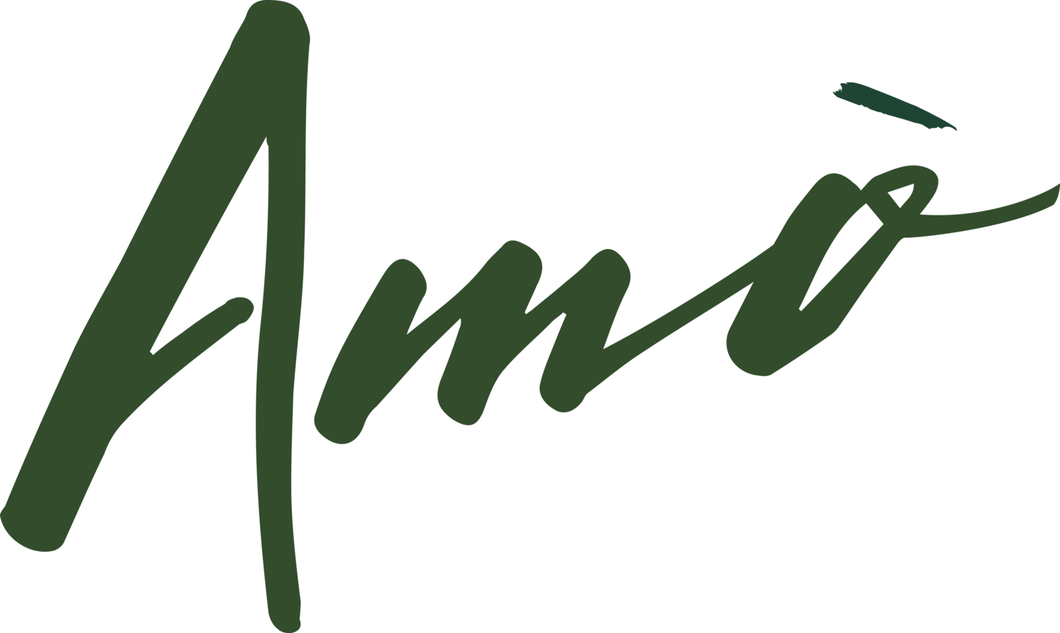 Amo