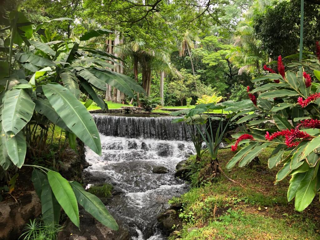 7. The Paradise Villa