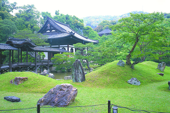Wander Through the Geisha District