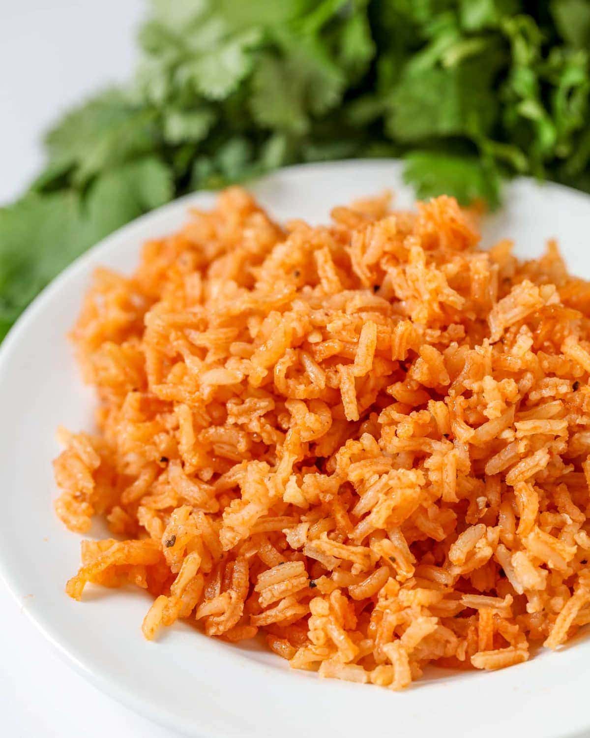 Spanish Rice