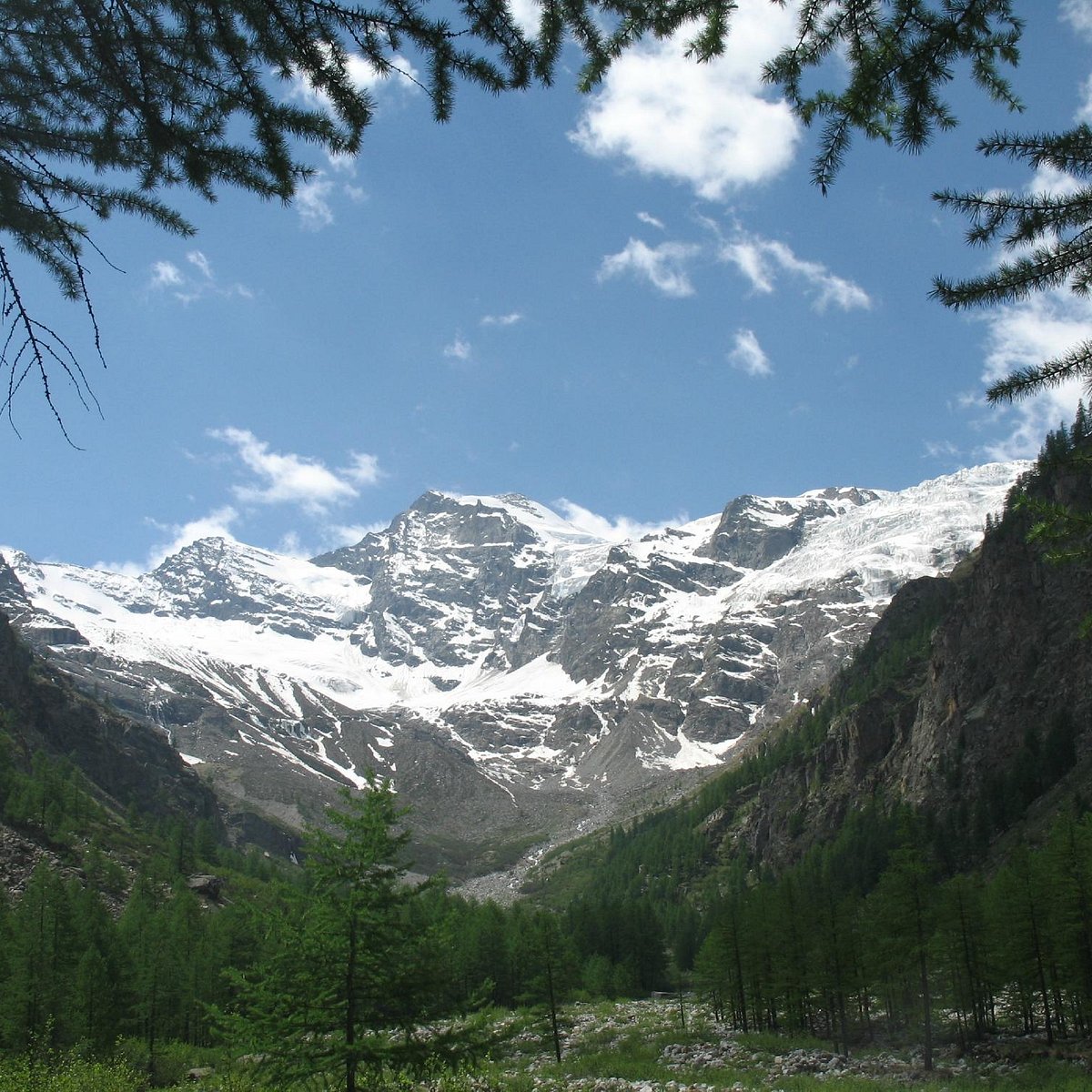 Hiking in the Alps