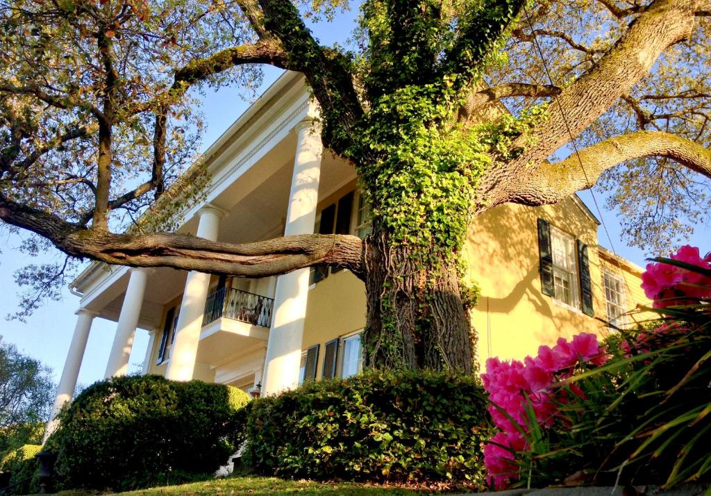 Historic Mansion with Private Pool