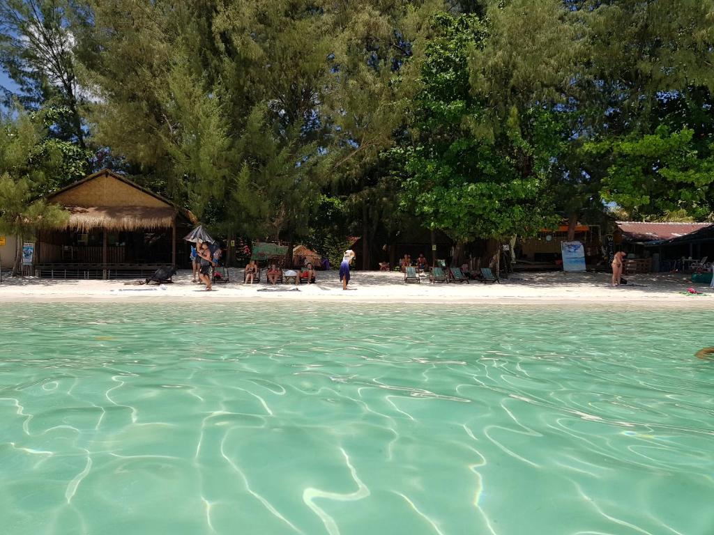 Eco-Friendly Beach Resort