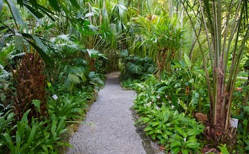 Budget-Friendly Apartment in Butterworth