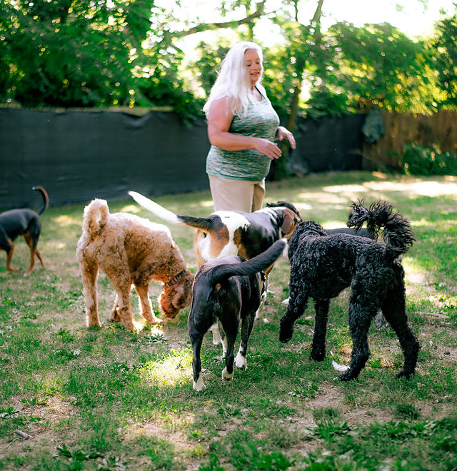 10. Wagging Tails
