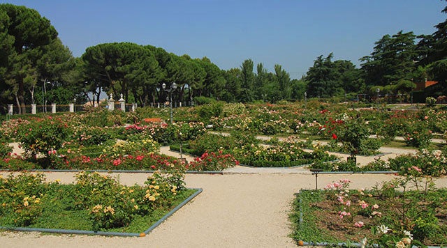 Relax in Parque del Oeste