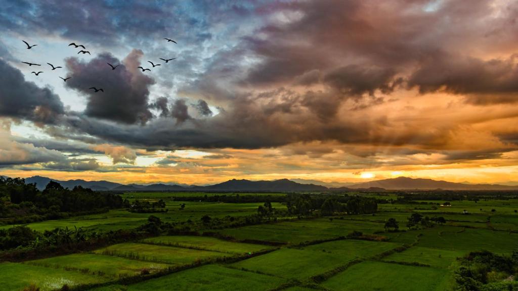 Nature's Retreat