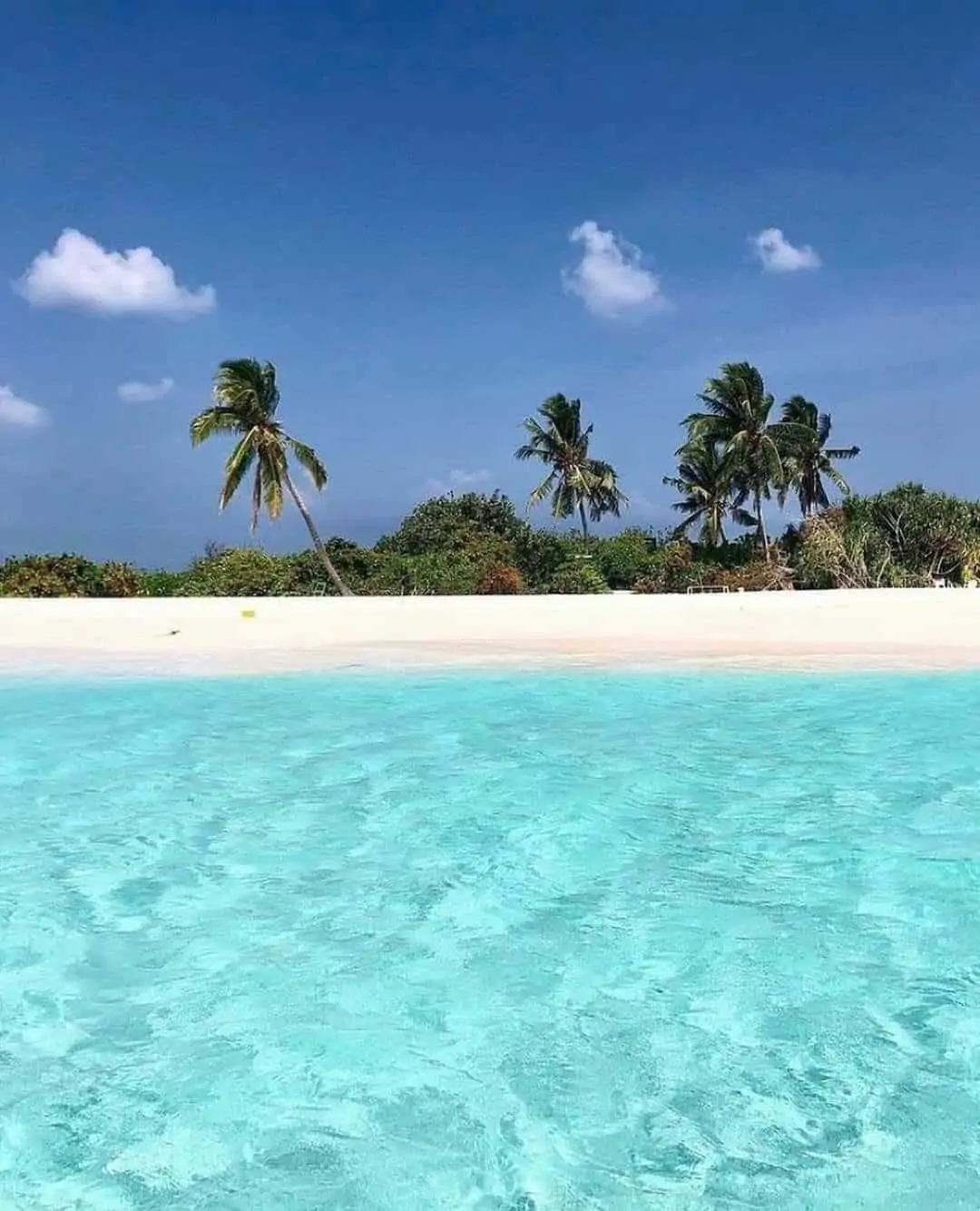 Isla Catalina