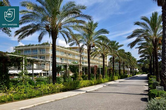 Relax on the Beautiful Beaches of Versilia