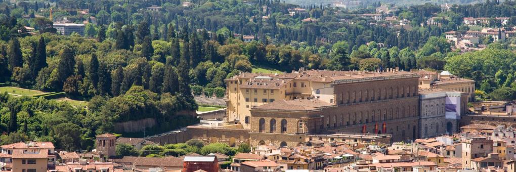 Explore the Pitti Palace