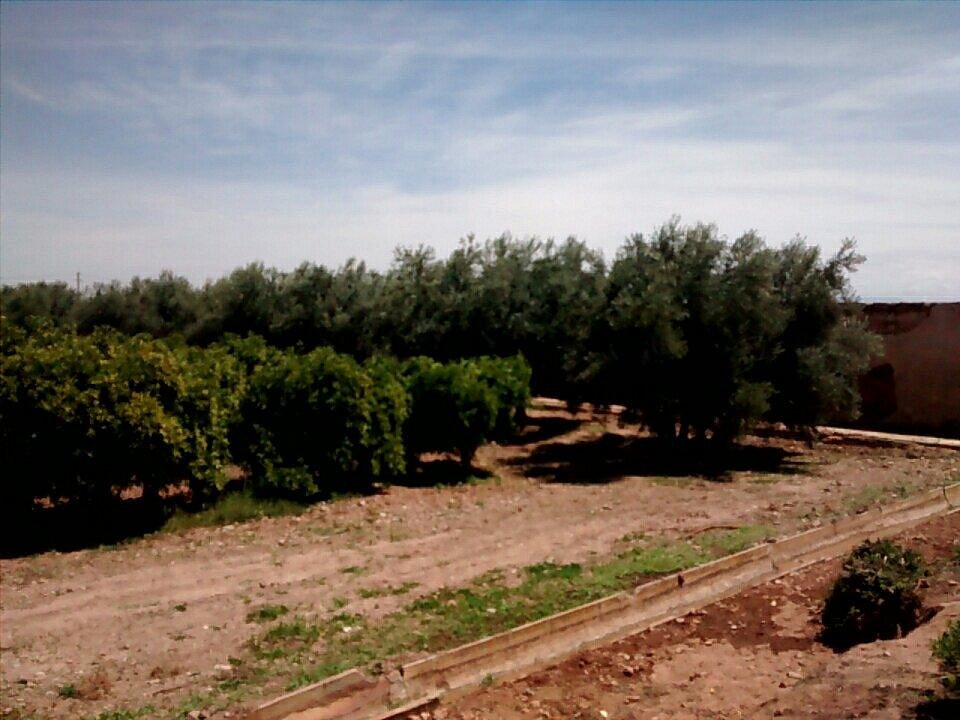 Agdal Gardens