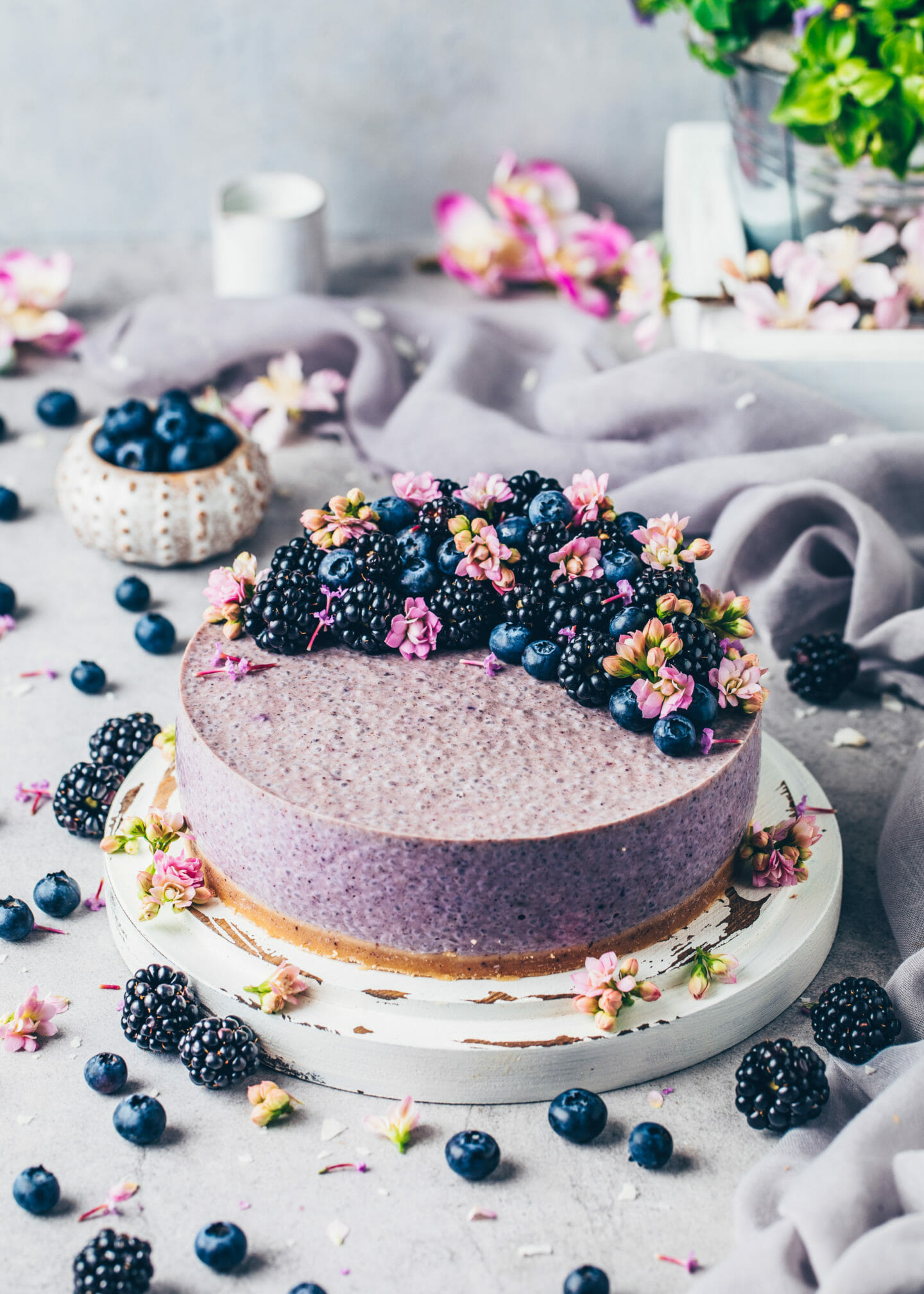 Blueberry Chia Seed Cake
