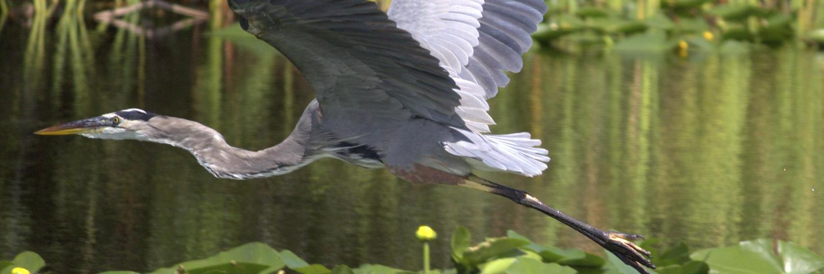 Golfers' Haven Hotel