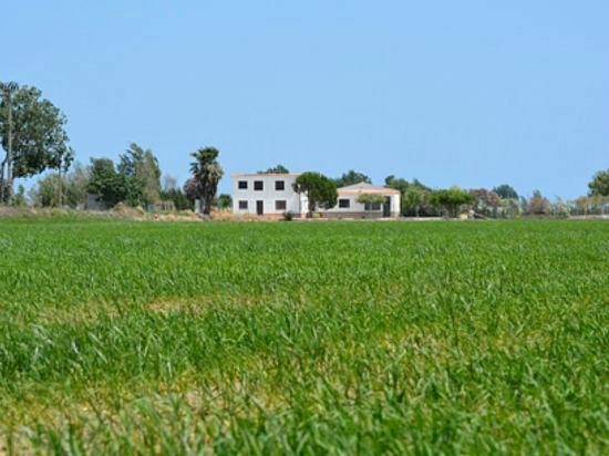 Discover the Ebro Delta Natural Park