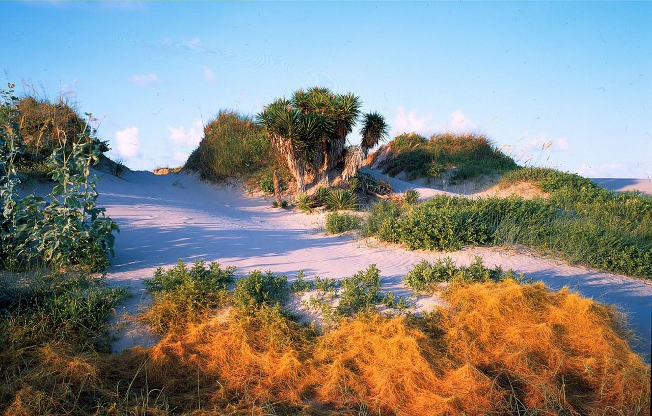 Visit Matagorda