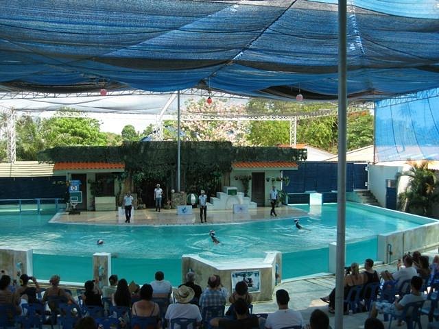 Parque de tigres Samui
