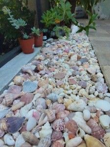 Create a Serene Oasis with Seashell Mosaic Garden Fountains