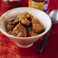 Rogan Josh Biryani
