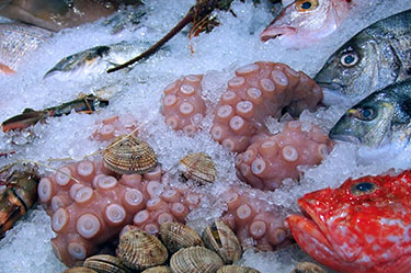 Caldereta de Pescado