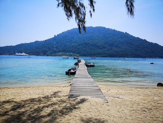 Coastal Cottage with Ocean Views