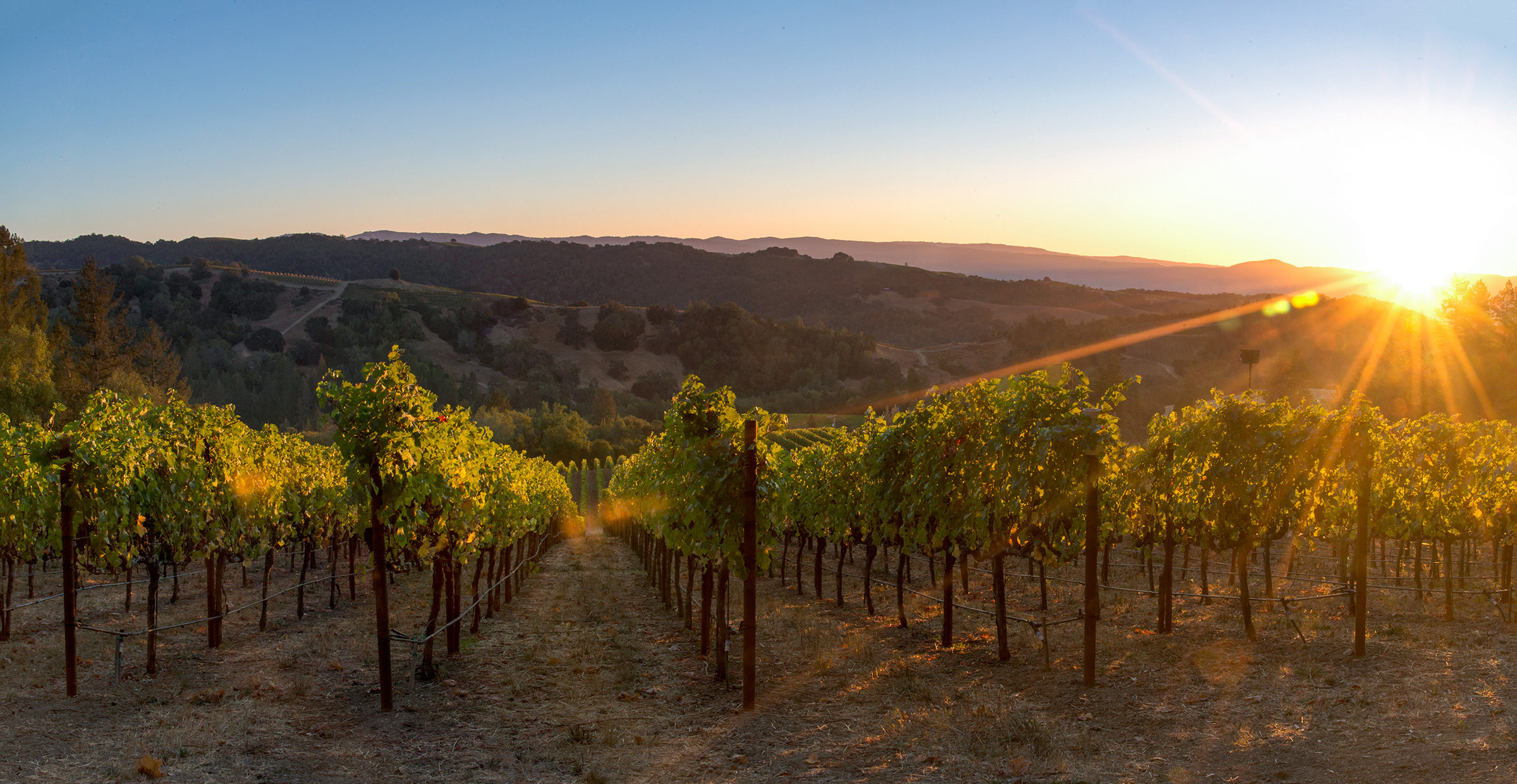 The Hess Collection Winery & Art Museum