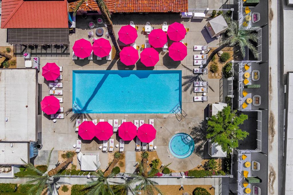 Paloma Hotel - Sustainable Urban Oasis