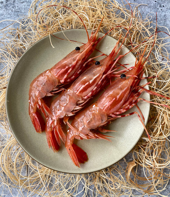 Botan Ebi Pasta