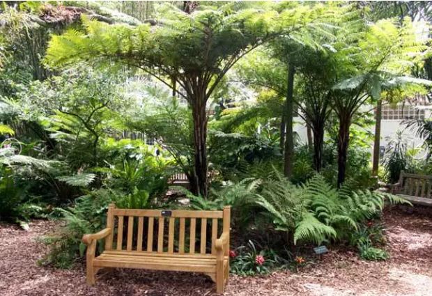 Whimsical Garden Delight