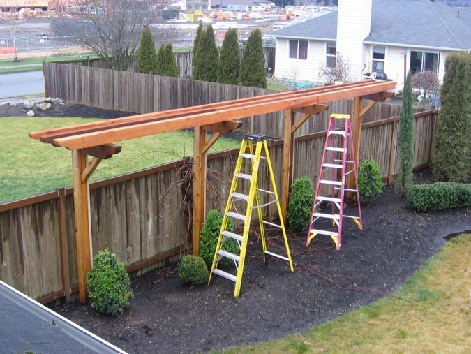 Grapevine Trellis for Courtyard
