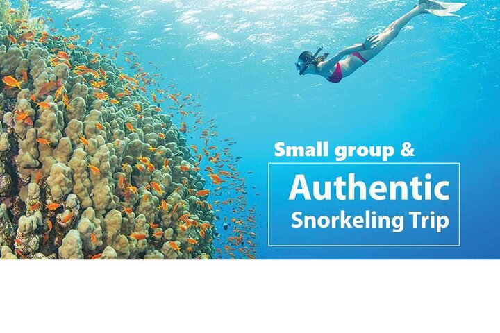 Day 4: Snorkeling and Marine Life Exploration