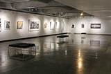 Wits Art Museum