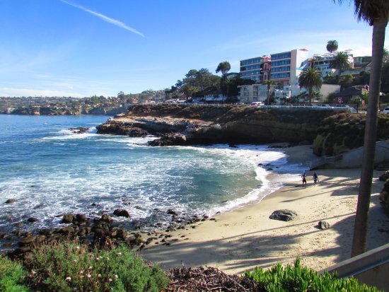 Day 7: La Jolla Underwater Park and Shopping
