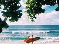 Coastal Vibes