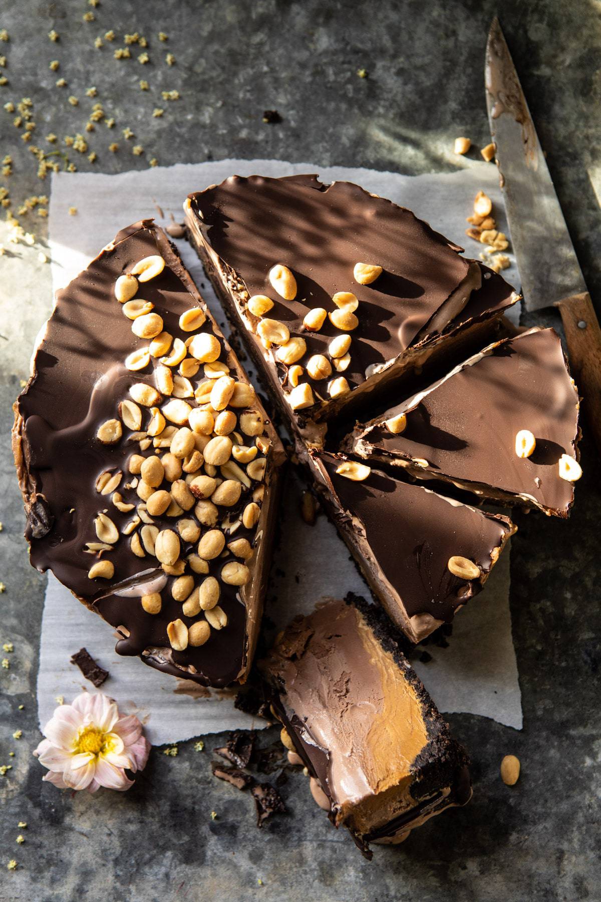 Peanut Butter Chocolate Cake Ice Cream